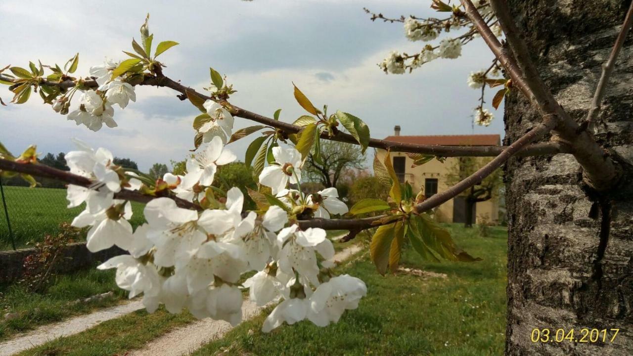 B&B Fior Fiore Spello Exterior photo